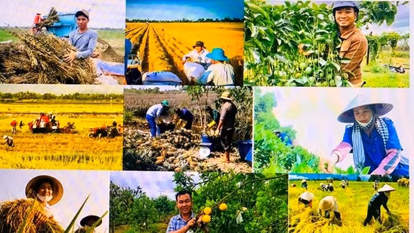 Góp ý Dự thảo các Văn kiện Đại hội XIV của Đảng: Đến năm 2030 cơ bản không còn hộ nghèo