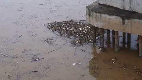 Hành trình tìm "danh phận" cho một đứa trẻ không tên
