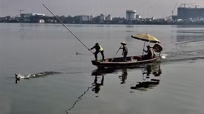 Điều tra nghi án vợ dùng búa đánh chồng tử vong