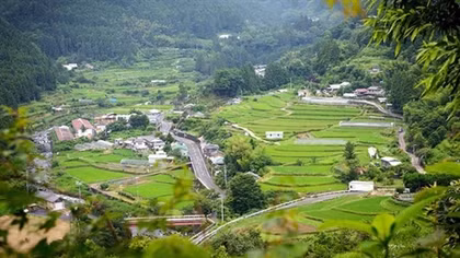 Ươm "mầm xanh" cho đội ngũ dịch giả