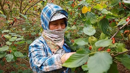 Nghệ thuật kết nối không gian và trải nghiệm đa tầng