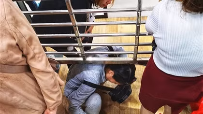 TP Hồ Chí Minh: Đồng loạt ra quân bóc xóa quảng cáo sai quy định