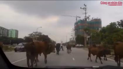 Lại giở trò “hội luận”, “bàn tròn” đánh tráo bản chất, ý nghĩa lịch sử ngày 30/4/1975