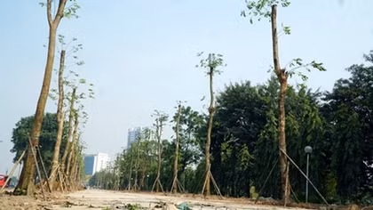 Tổng Bí thư, Chủ tịch nước dâng hương tưởng niệm các Anh hùng liệt sỹ tại Đà Nẵng