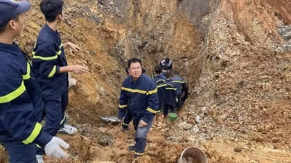 Rà soát sản phẩm HiPP trên toàn quốc vì nghi chứa thuốc chuột