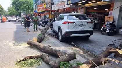 Ra mắt Tủ sách “Huyền thoại Côn Đảo” và phát động hiến tặng tài liệu, sách