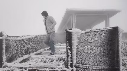 Thảm sát kinh hoàng tại Mỹ: Cha nổ súng sát hại 7 con đẻ và một trẻ khác