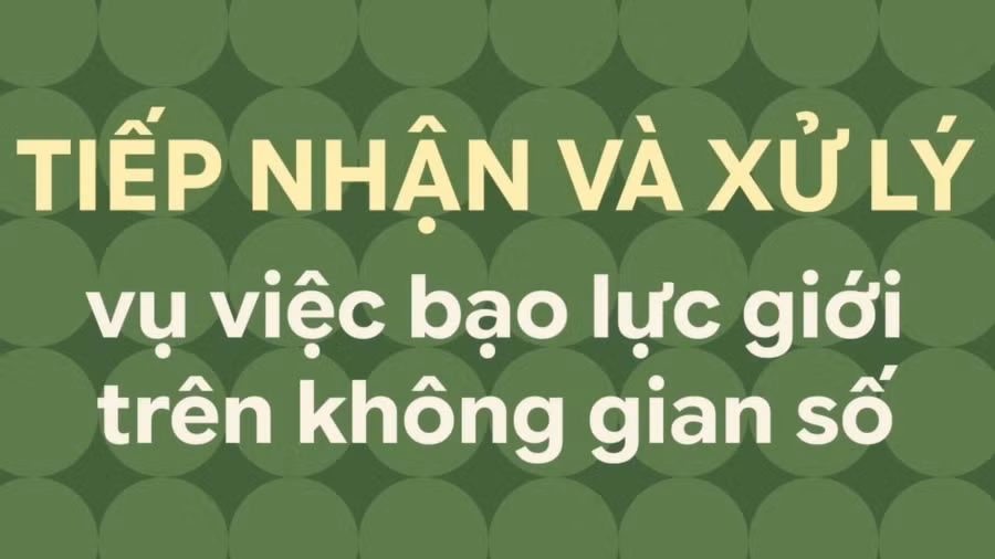 Tiếp nhận và xử lý vụ việc bạo lực giới trên không gian số