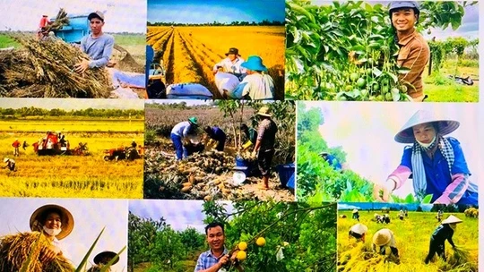 Góp ý Dự thảo các Văn kiện Đại hội XIV của Đảng: Đến năm 2030 cơ bản không còn hộ nghèo