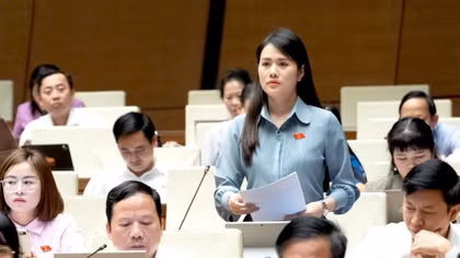 Đề nghị người Việt Nam ở nước ngoài là nhóm đặc thù trong phổ biến, giáo dục pháp luật