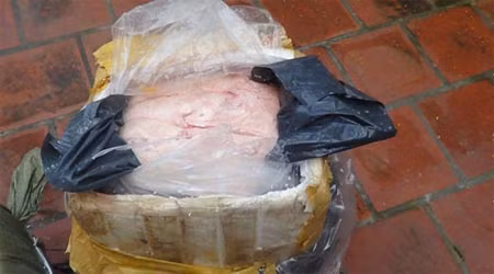 Hà Nội: Tiêu hủy hơn 700kg nầm lợn thối ảnh 1