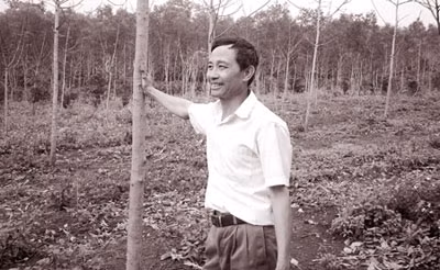 Anh Đào bên vườn cao su mới trồng.