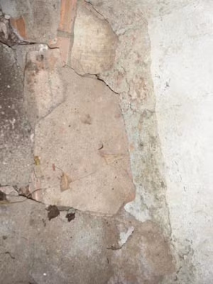 Bên trong tháp đã có dấu hiệu mục, rạn nứt và rễ cây tàn phá.