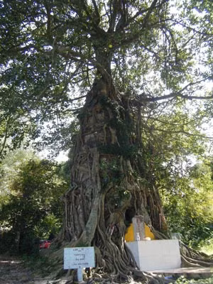 Ngôi tháp cổ 7 tầng ở Hà Tiên.