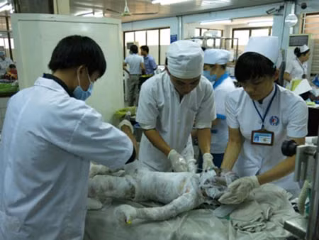 Là quyết định của mẹ nhưng con lại là người gánh chịu hậu quả.