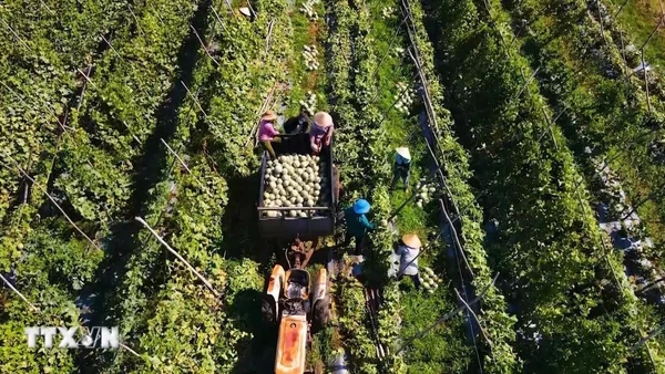 Góp ý dự thảo Văn kiện: Hướng đến nền kinh tế xanh, số hóa và tự cường