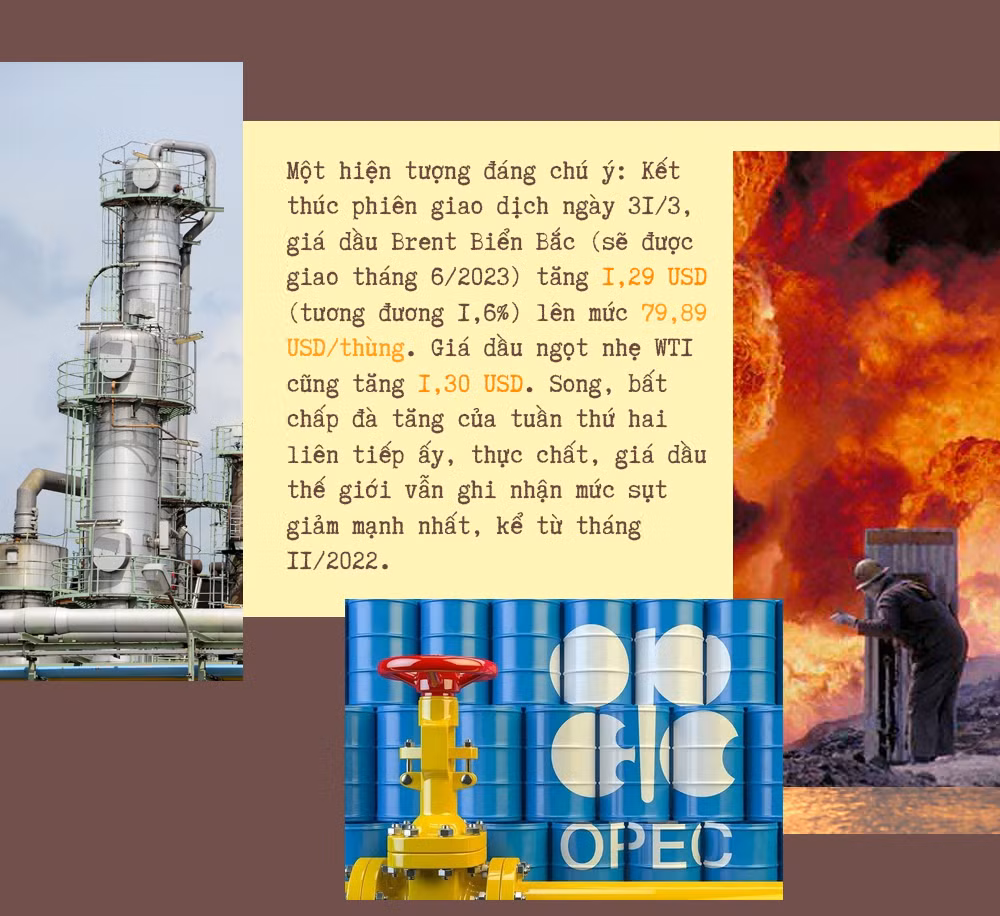 “Khúc chiến ca” từ những giếng dầu -0