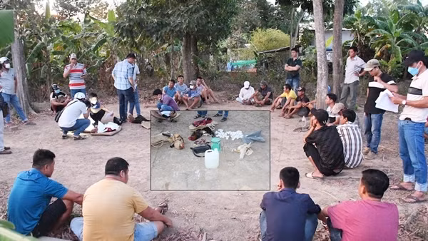 Công an Trà Vinh bắt 21 người tụ tập đá gà ăn thua bằng tiền