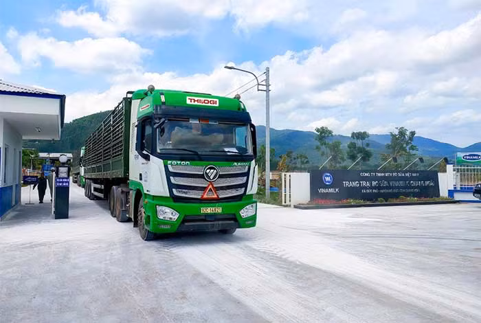 THILOGI mang đến nhiều giải pháp vận tải nội điạ tối ưu cho doanh nghiệp -2