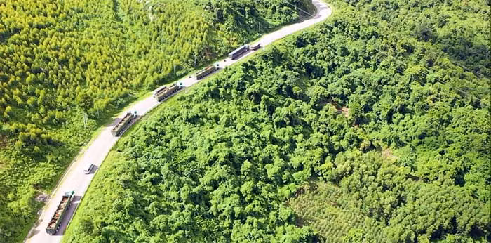 THILOGI mang đến nhiều giải pháp vận tải nội điạ tối ưu cho doanh nghiệp -1