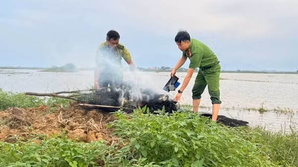 Daidang_1-1728435067809.jpg