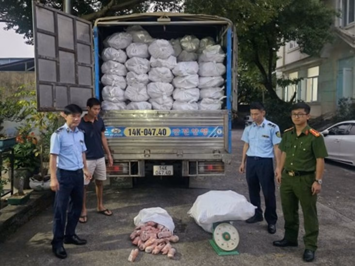 Thu giữ hơn 12 tấn chân lợn đã hư hoại tại khu vực biên giới -0