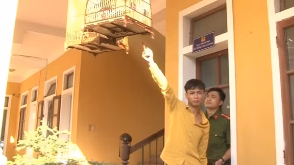 Có 7 tiền án, tiền sự vẫn đi trộm… chim cảnh