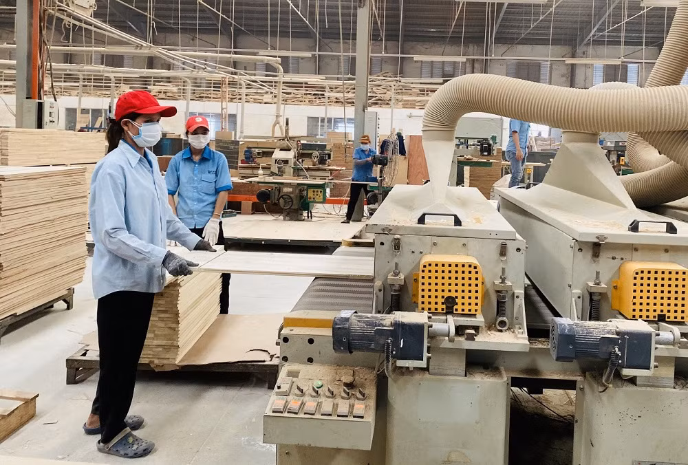 Hỗ trợ doanh nghiệp và người lao động ổn định sản xuất, bảo đảm việc làm -0