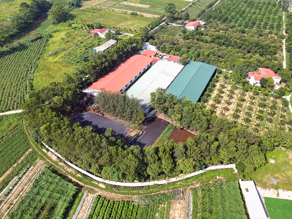 dji_0552.jpg -0