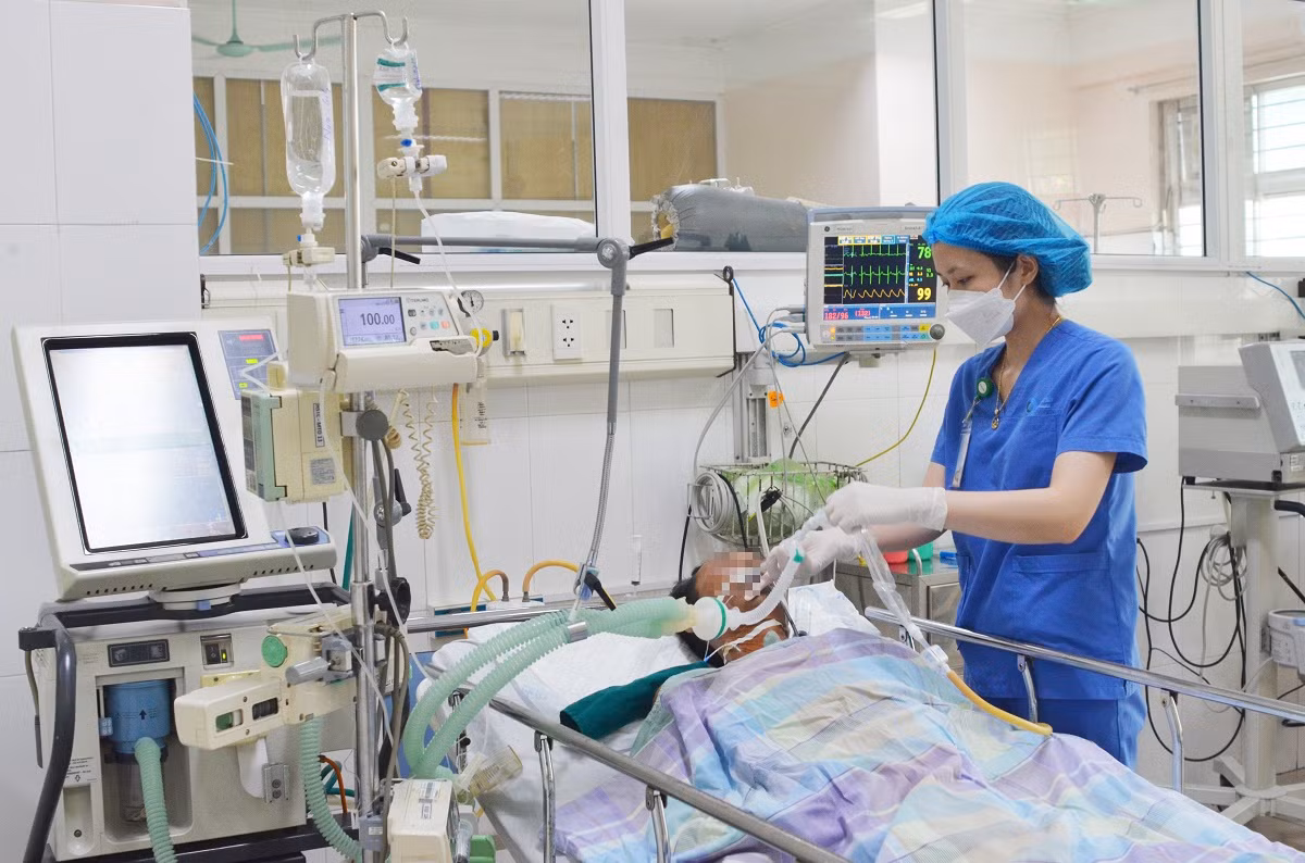 Hai người hôn mê sâu nguy kịch vì ăn so biển -0
