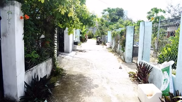 Thuê đất nông nghiệp do xã quản lý rồi... phân lô bán nền