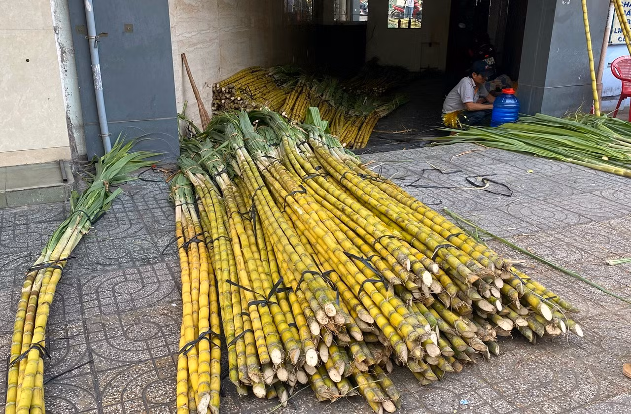 Lạ lùng chợ mía “vía trời” mùng 8 Tết chỉ họp chợ trong 2 ngày -1