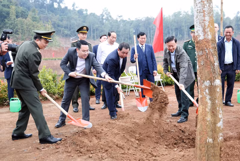 Chủ tịch nước Lương Cường dự và phát động “Tết trồng cây đời đời nhớ ơn Bác Hồ xuân Bính Ngọ năm 2026” tại tỉnh Lào Cai -0
