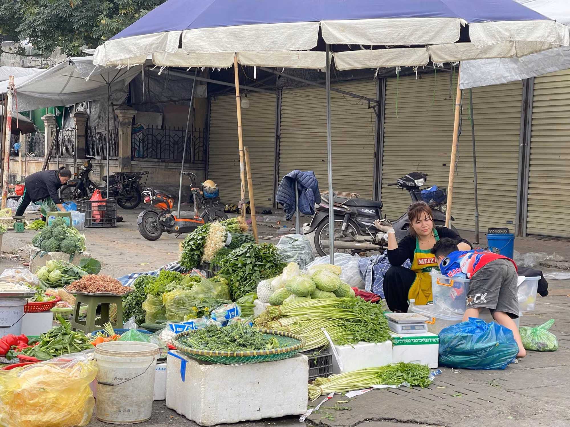 Mùng 4 Tết Bính Ngọ 2026: Thị trường “vào guồng”, cung dồi dào, giá ổn định -0
