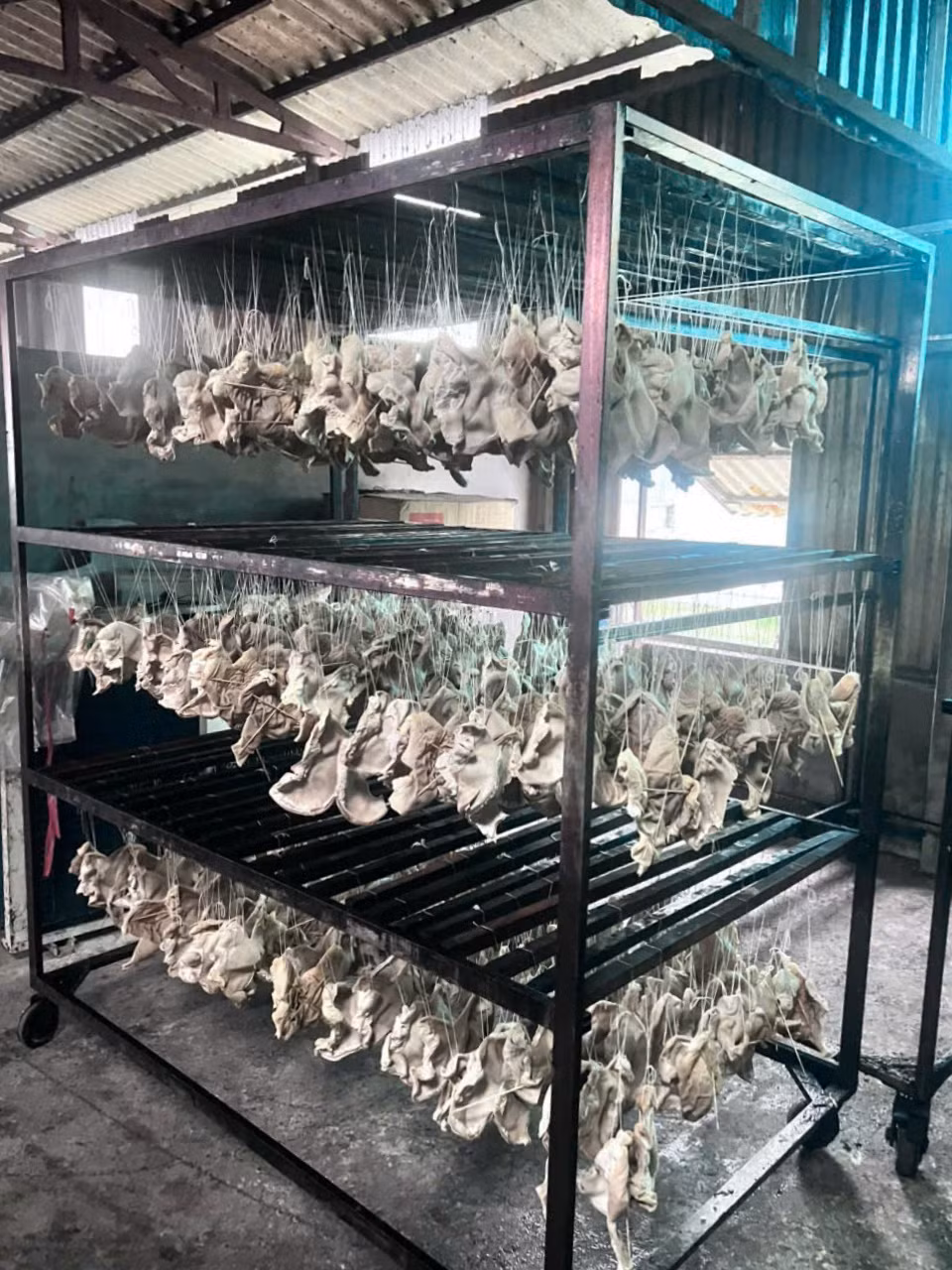 Hải Phòng xử phạt doanh nghiệp trữ hàng chục tấn nội tạng lợn không rõ nguồn gốc -0
