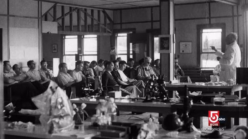 Khi nhà khoa học bước lên ghế bị cáo: Bài học quản trị từ bi kịch Wilhelm Reich -0