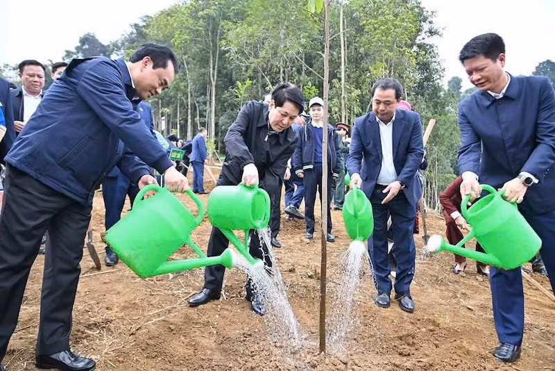 Chủ tịch nước Lương Cường dự và phát động “Tết trồng cây đời đời nhớ ơn Bác Hồ xuân Bính Ngọ năm 2026” tại tỉnh Lào Cai -0