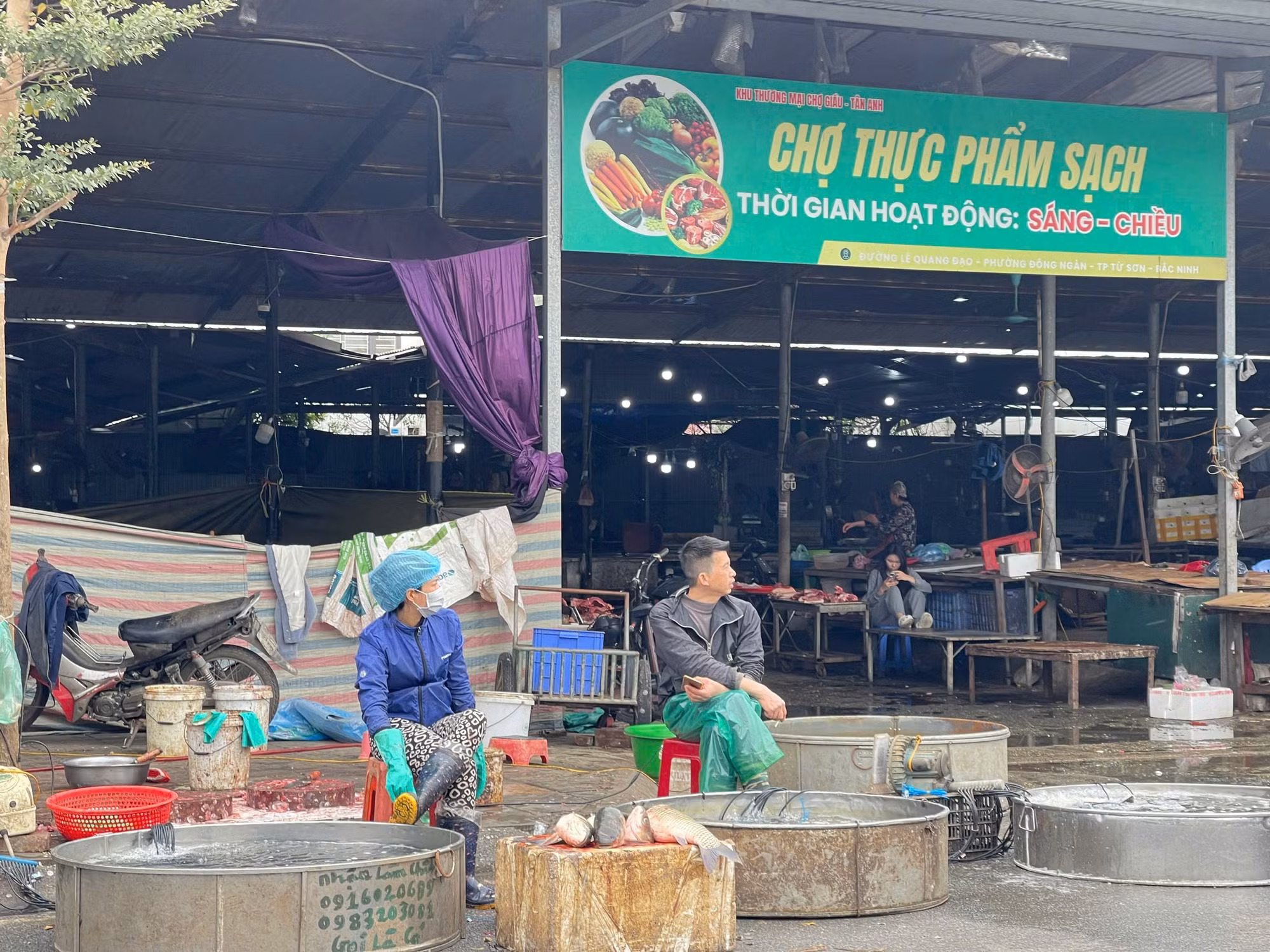 Mùng 4 Tết Bính Ngọ 2026: Thị trường “vào guồng”, cung dồi dào, giá ổn định -0