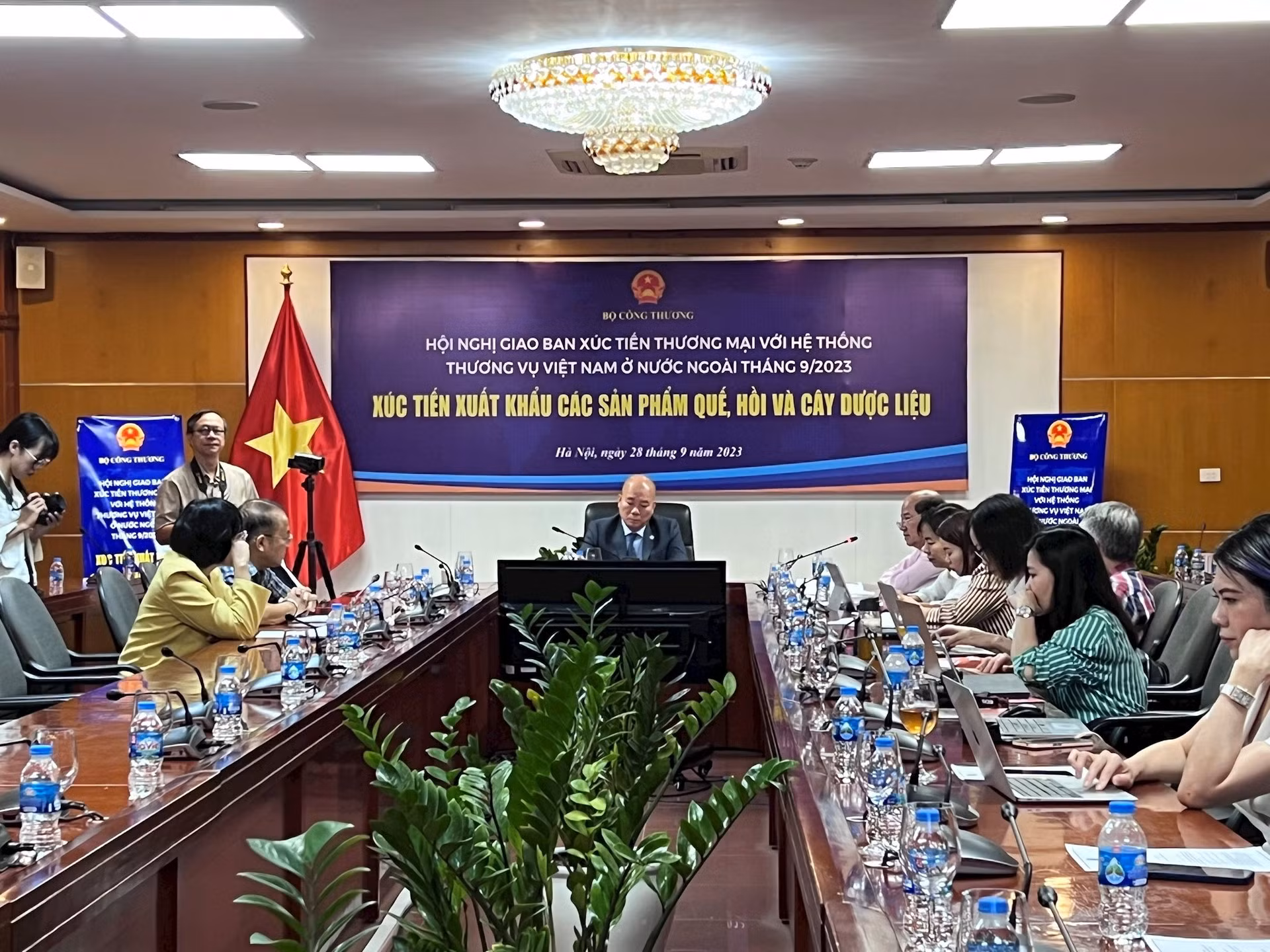 Việt Nam hiện là quốc gia sản xuất quế đứng thứ 3 trên thế giới -0