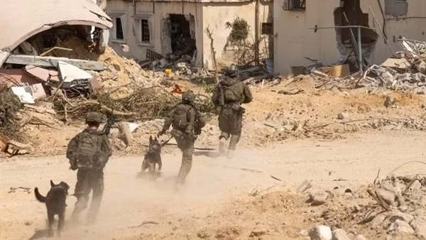 Israel đồng ý ngừng bắn 60 ngày ở Dải Gaza, chờ Hamas phản hồi