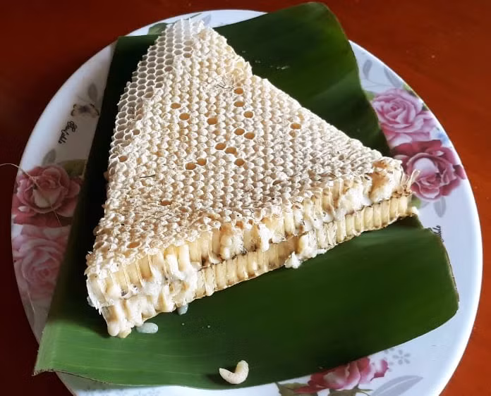 Đăng bán nhộng ong để chiếm đoạt tiền của khách hàng -0