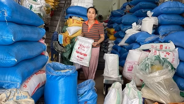 Chia nhóm theo mức doanh thu khi xóa thuế khoán