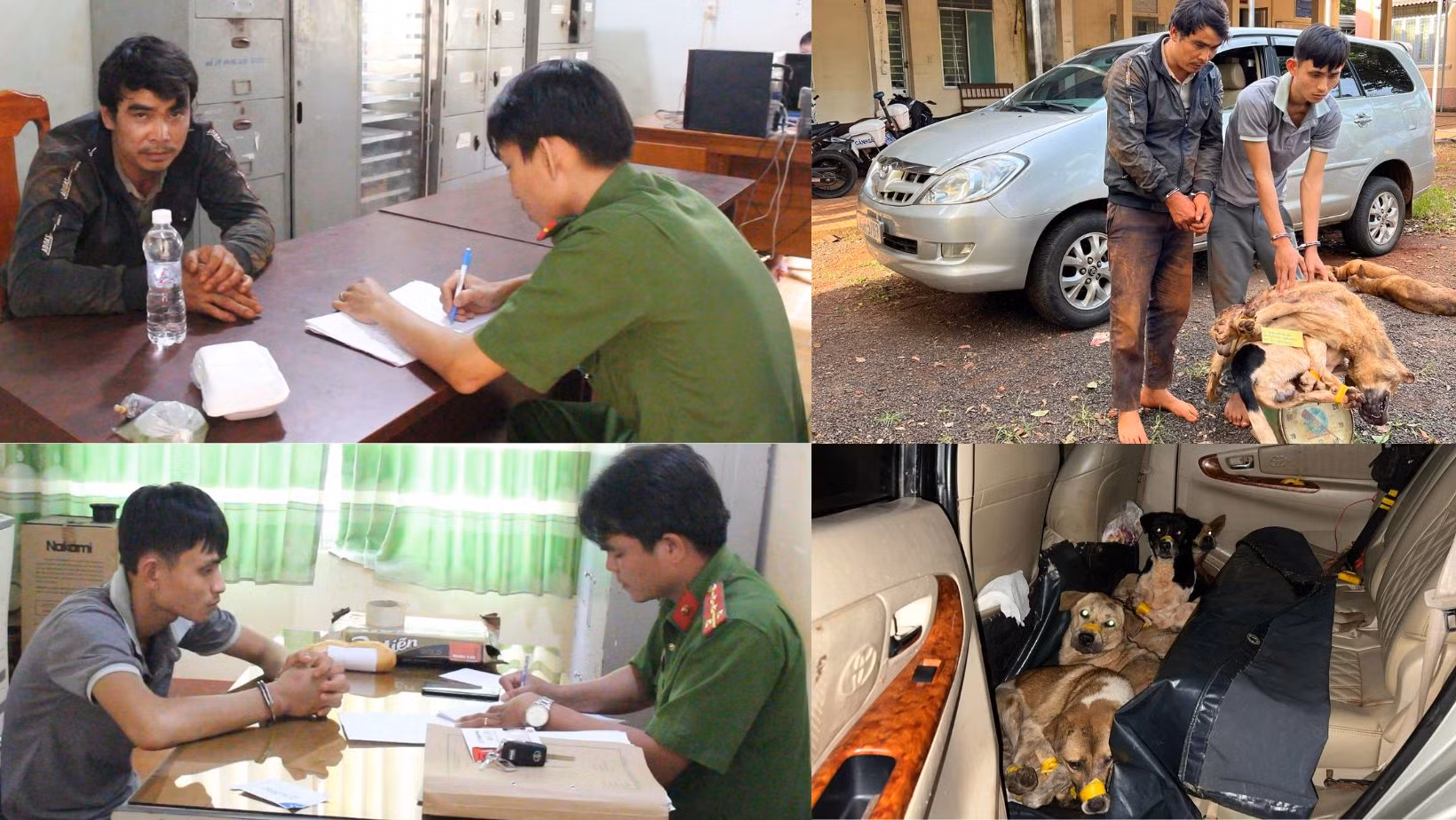 Bắt giữ hai đối tượng&nbsp;chuyên dùng ô tô đi trộm chó -0