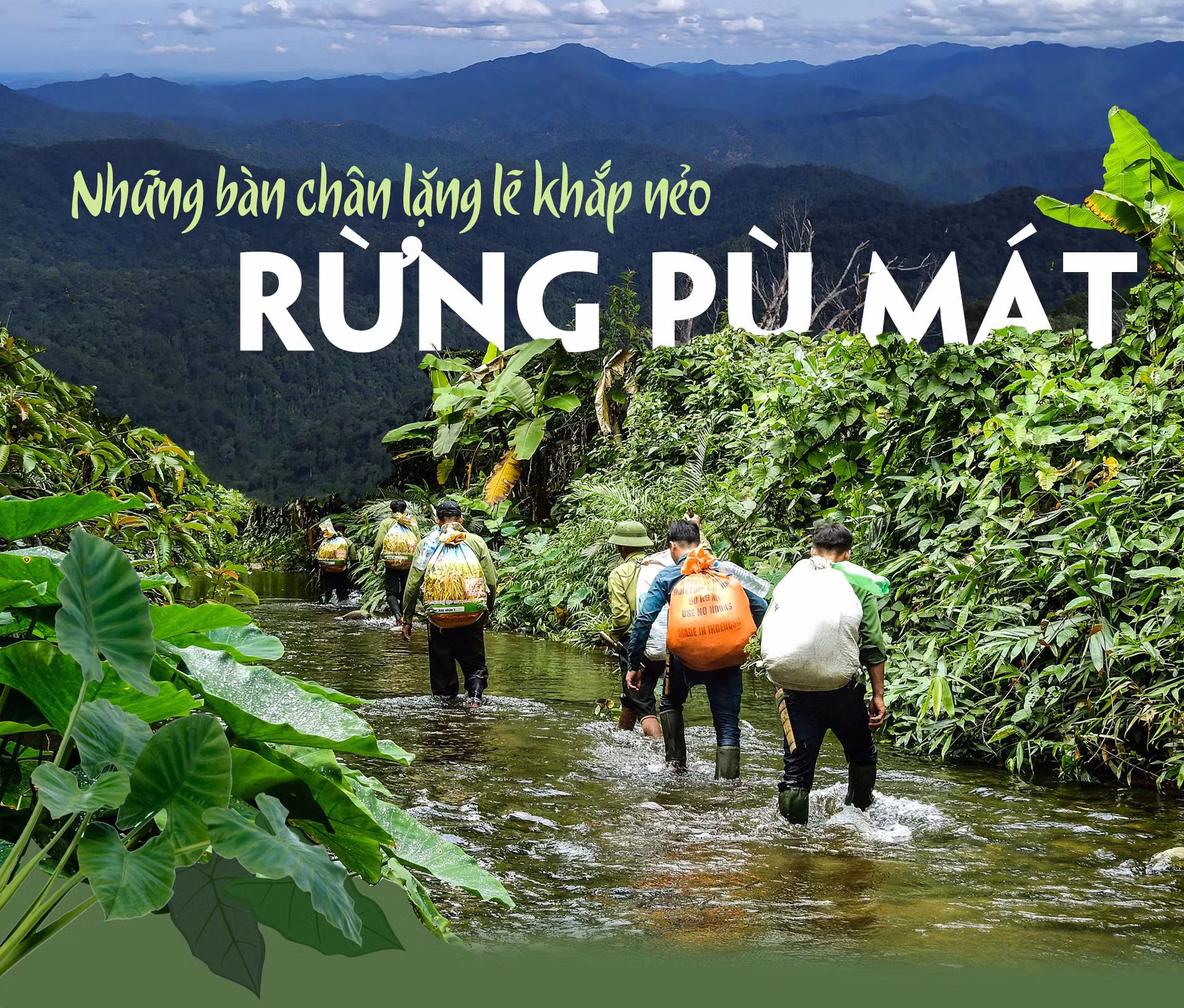 Những bàn chân lặng lẽ khắp nẻo rừng Pù Mát -0