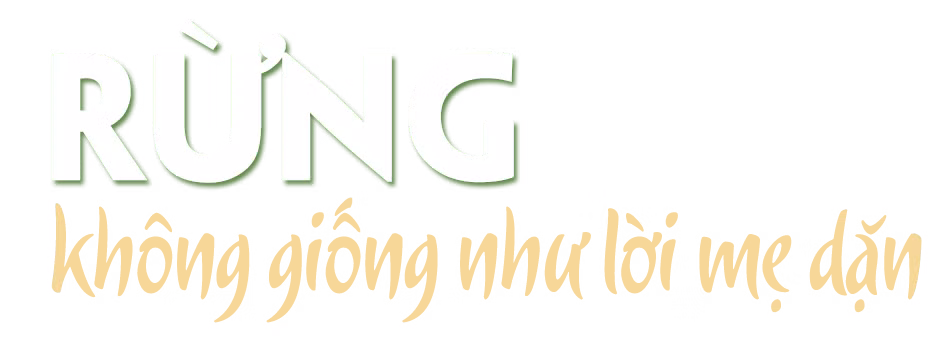 Những bàn chân lặng lẽ khắp nẻo rừng Pù Mát -0