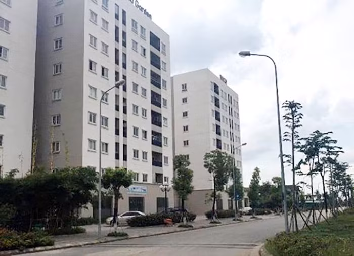 kiem toan.jpg -0