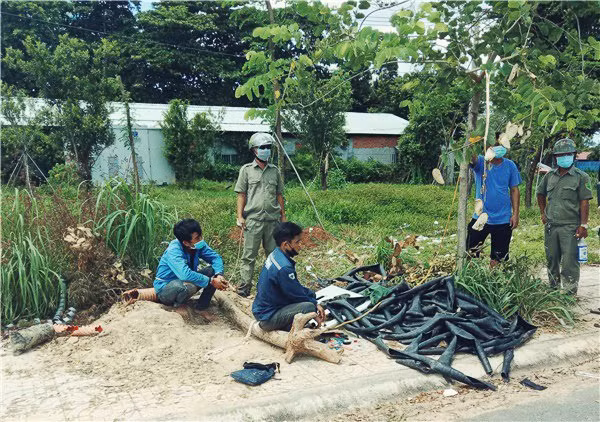 Rủ nhau đi cắt trộm cáp ngầm trong thời gian giãn cách -0