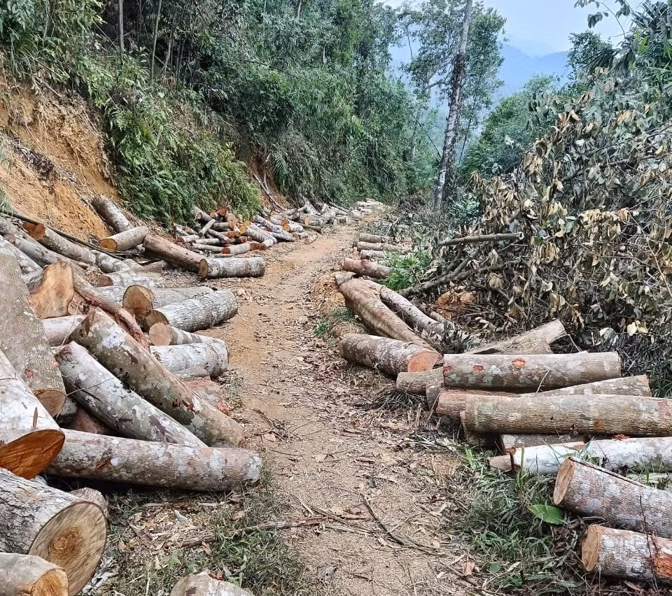 Lạng Sơn: Quyết liệt đấu tranh với 