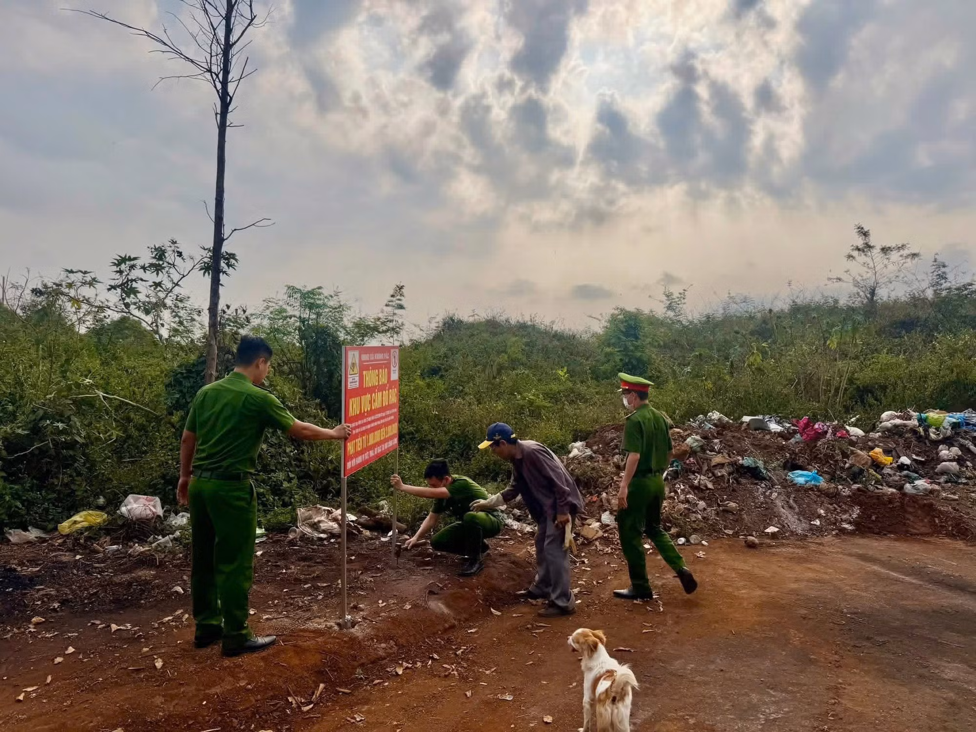 Điều khiển xế sang đi đổ trộm rác thải, một người đàn ông bị xử phạt -0
