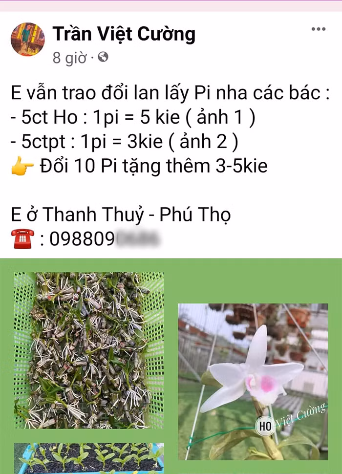 Bi hài dùng tiền ảo mua hàng thật -0